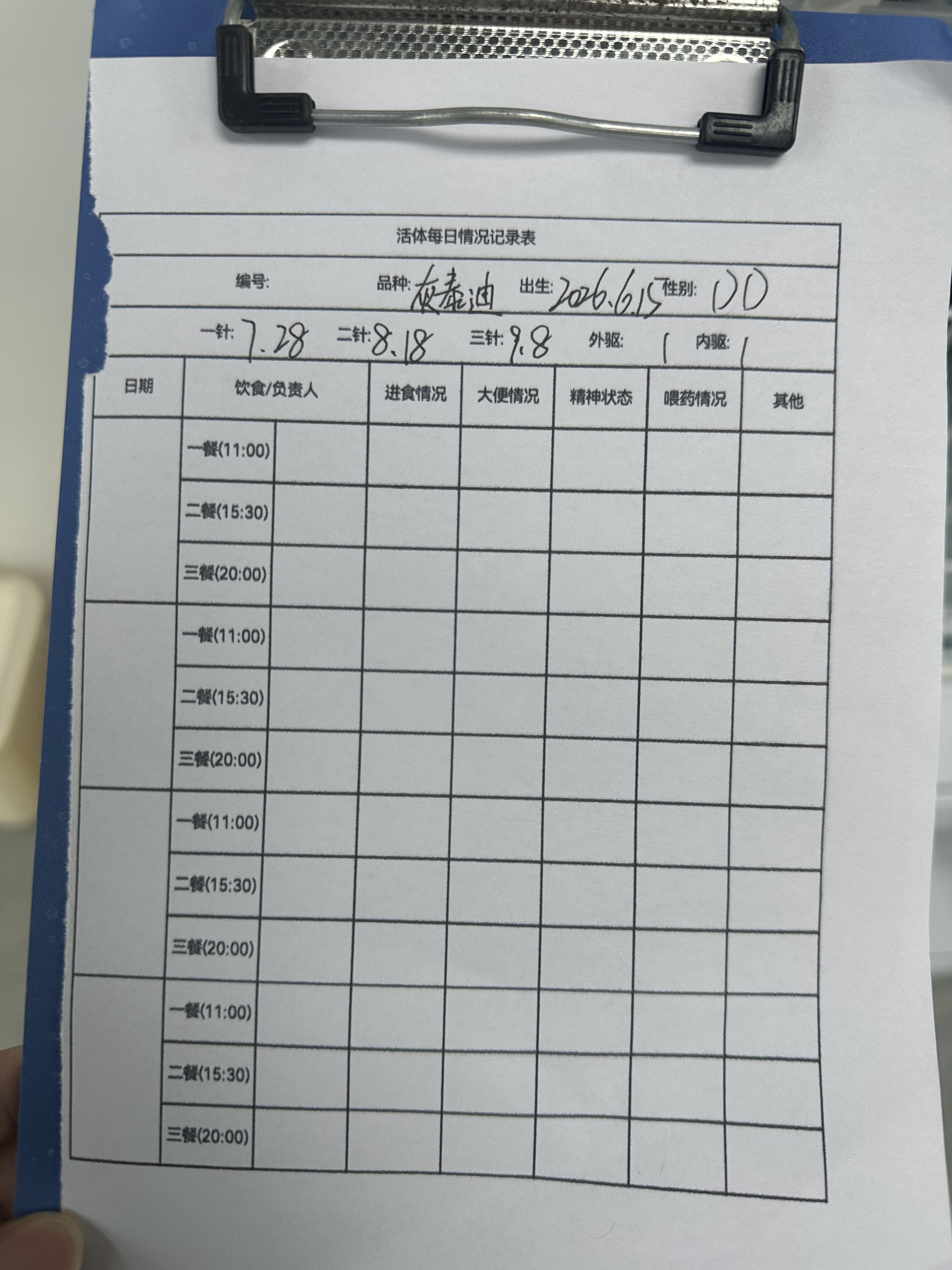 资料卡档案