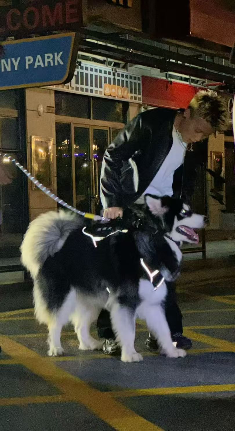 幸福合照5