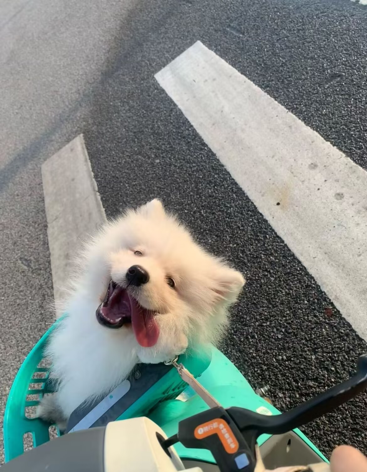 朋友圈晒图4