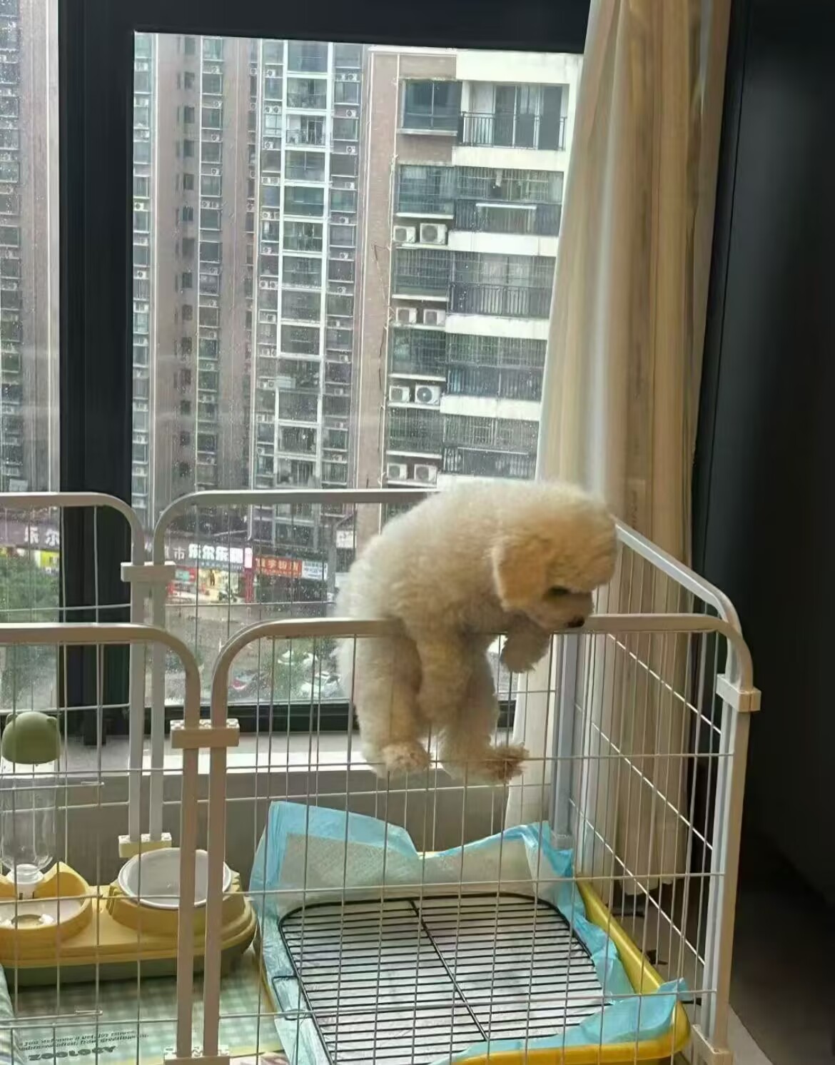 朋友圈晒图6